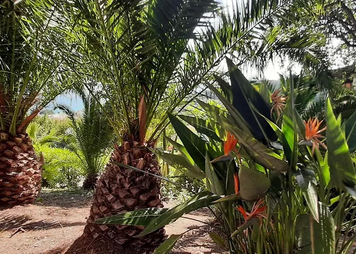 Lejlighed Le Paradis D'ella